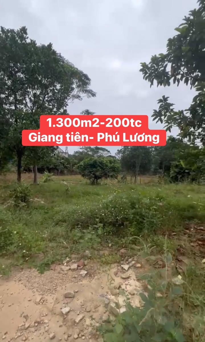 Đất thổ cư Giang Tiên, Phú Lương 1300m² giá 1 tỷ - Cơ hội đầu tư tuyệt vời!