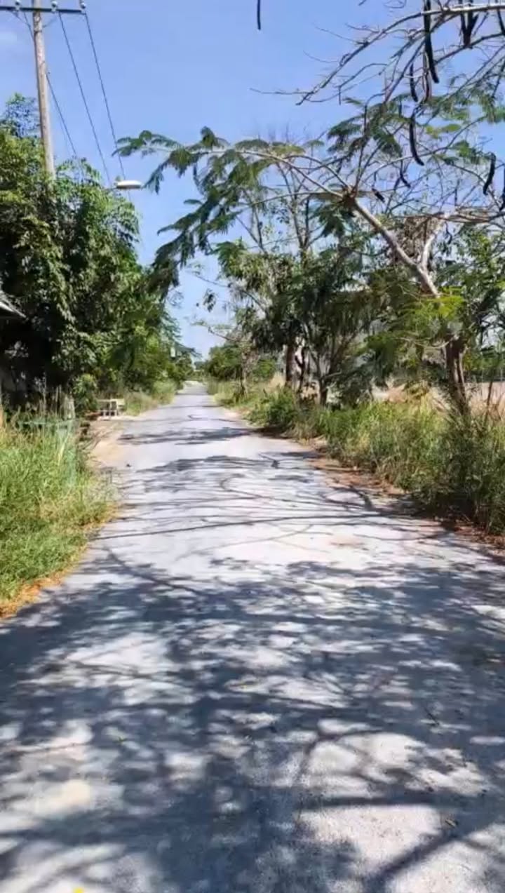 Đất mặt tiền Trần Hưng Đạo, Cần Giờ 1266m² giá 18.99 tỷ - Sổ đỏ chính chủ, xây dựng ngay!