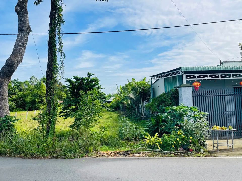 Đất thổ cư Củ Chi 278m² giá 2.25 tỷ - Khu dân cư sầm uất, mặt tiền kinh doanh!