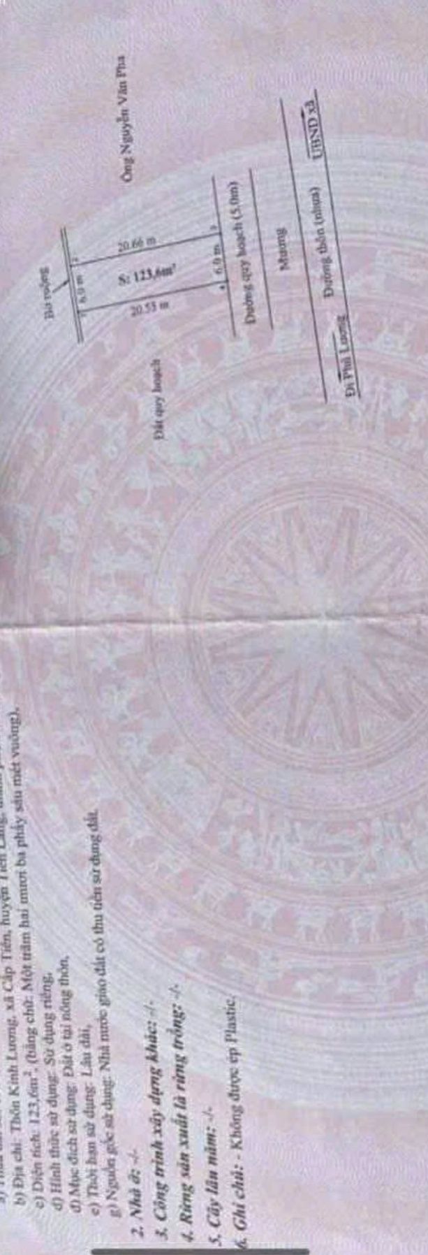 Đất đấu giá Cấp Tiến, Tiên Lãng 123m² - Vị trí đắc địa gần khu công nghiệp!