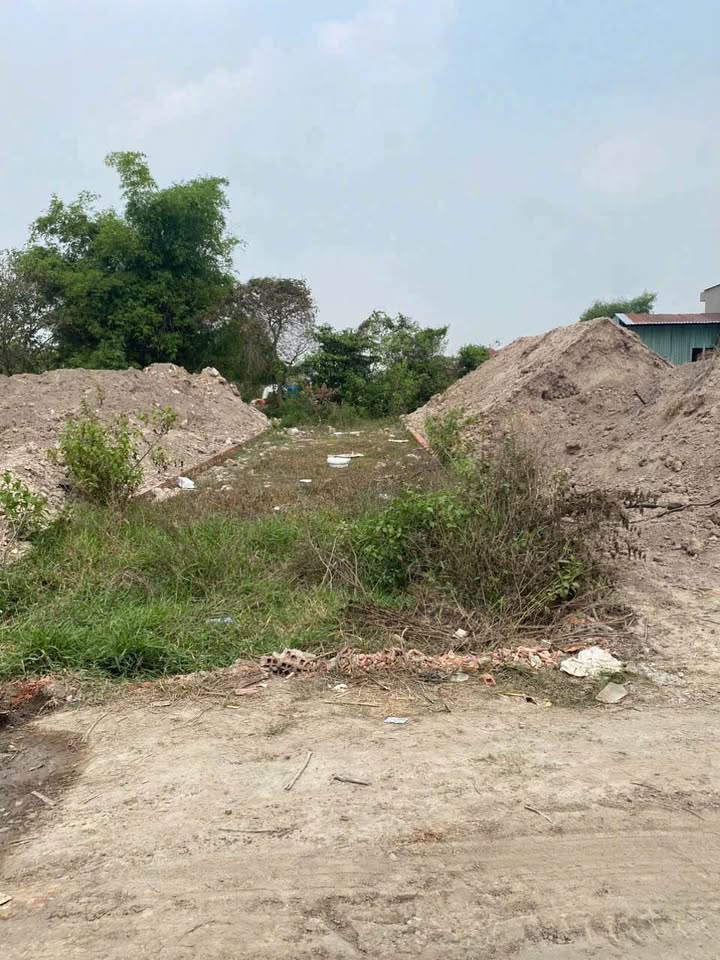 Đất nền mặt tiền đường Nhà Vuông Tân Hội, Đức Hòa, 165m² - Giá chỉ 1.8 tỷ!