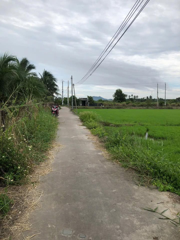 Bán đất CLN Hàm Hiệp 2600m² giá 390 triệu - Cách trung tâm Phan Thiết chỉ 8km!