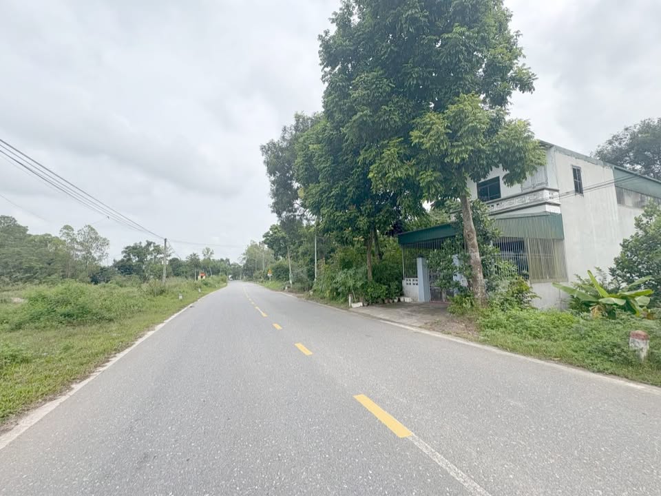 Đất nền Thanh Vinh, Phú Thọ 100m² giá 1 tỷ - Đầu tư sinh lời ngay!