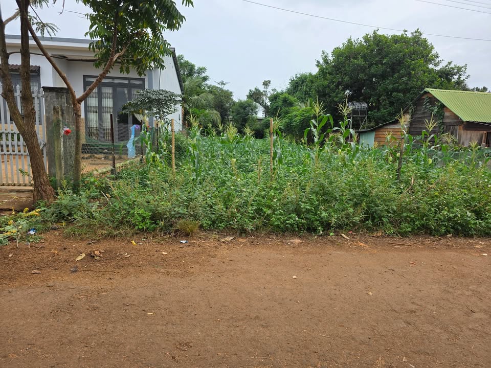 Đất nền đẹp tại Thôn 5 Ea Bar, Buôn Đôn, Đắk Lắk - Diện tích 288m² giá 635 triệu