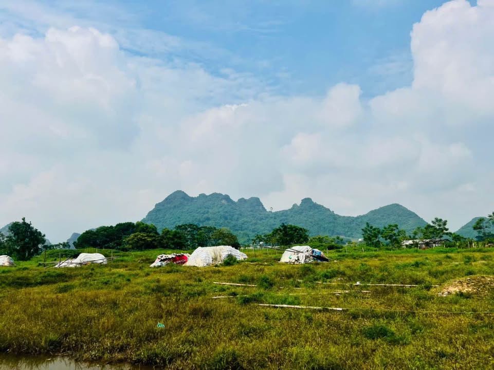 Đất nền Tân Tiến, Chương Mỹ 2500m² giá nhỉnh 2 tỷ - Pháp lý rõ ràng!