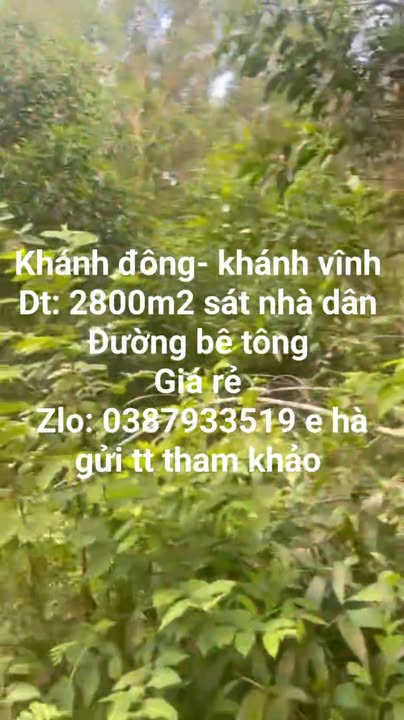 Đất nền Khánh Đông Khánh Vĩnh 2800m² giá chỉ 420 triệu - Pháp lý rõ ràng!