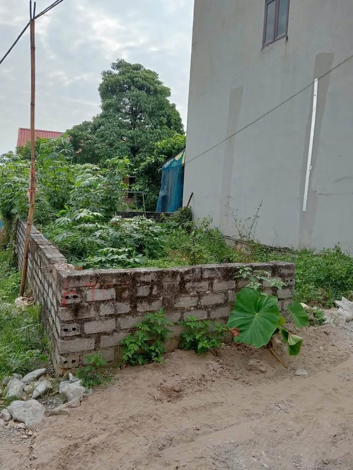 Đất nền lô góc xã Thanh Hương 60m² giá thỏa thuận - Cơ hội đầu tư tuyệt vời!