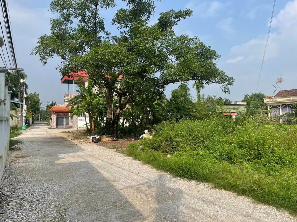 Đất nền 126m² Tứ Giáp, Duy Hải giá 2.8 tỷ - Phù hợp ở và kinh doanh!