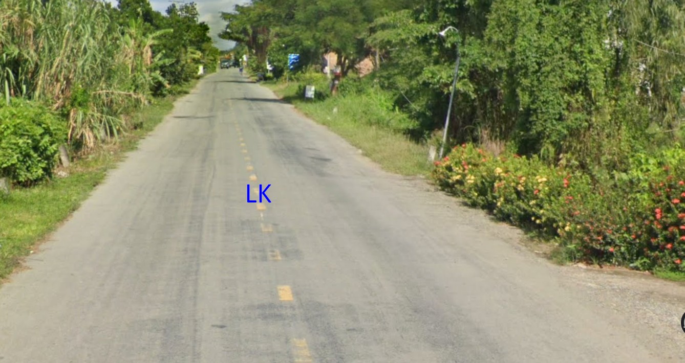 Đất lúa 73.000m² mặt tiền 165m - Giá chỉ 135 triệu/1.000m² tại Tam Nông!