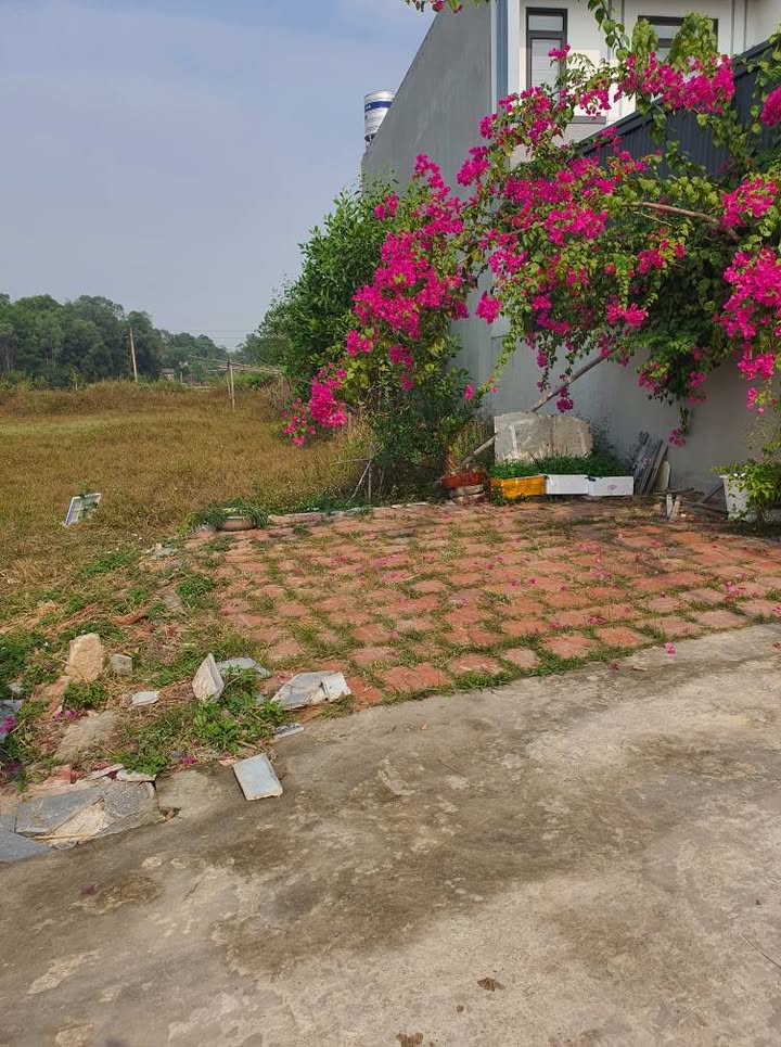 Đất nền Hồng Tiến, Phổ Yên, Thái Nguyên 195m² giá 1 tỷ - Đầu tư sinh lời hấp dẫn!