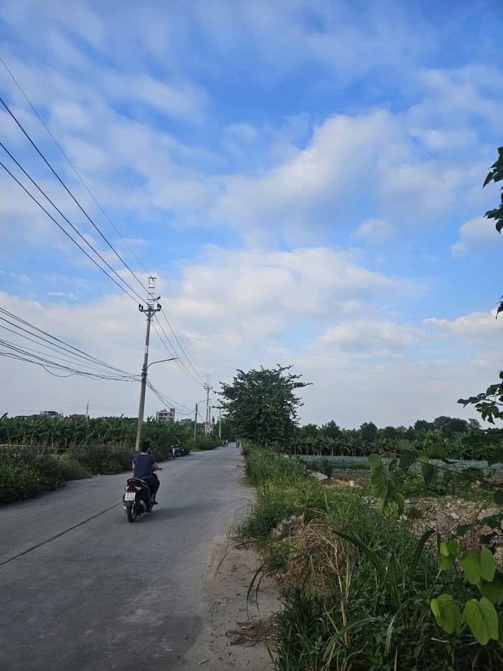 Đất làm Nhà Vườn tại Làng Yên Mỹ, Thanh Trì 320m² chỉ 960 triệu - Cơ hội đầu tư tuyệt vời!