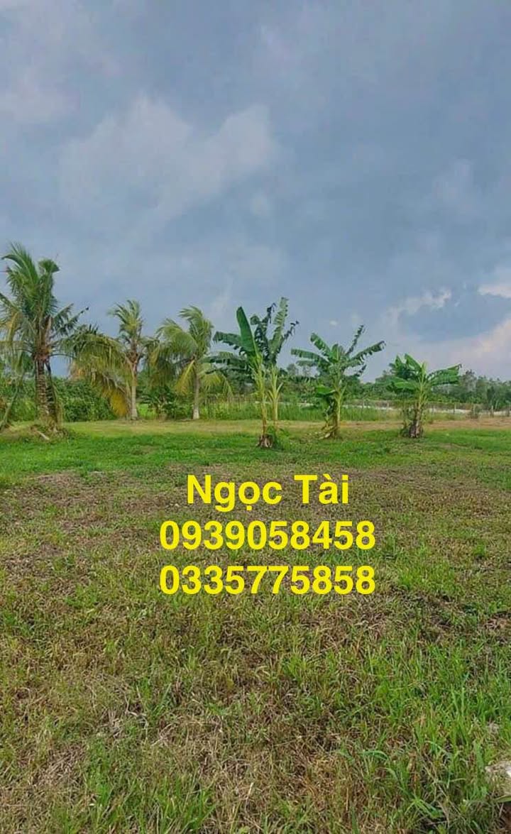 Đất ruộng Tân Dương 792m² giá 860 triệu - Đất vuông vức, điện nước đầy đủ!