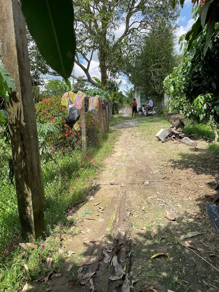 Đất nền Long Hậu Lai Vung 5900m² giá 1.3 tỷ - Đường xe máy thoải mái!