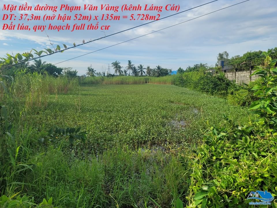 Đất thổ cư mặt tiền đường Phạm Văn Vàng 5728m² chỉ 9.451 tỷ - Cơ hội đầu tư hấp dẫn!