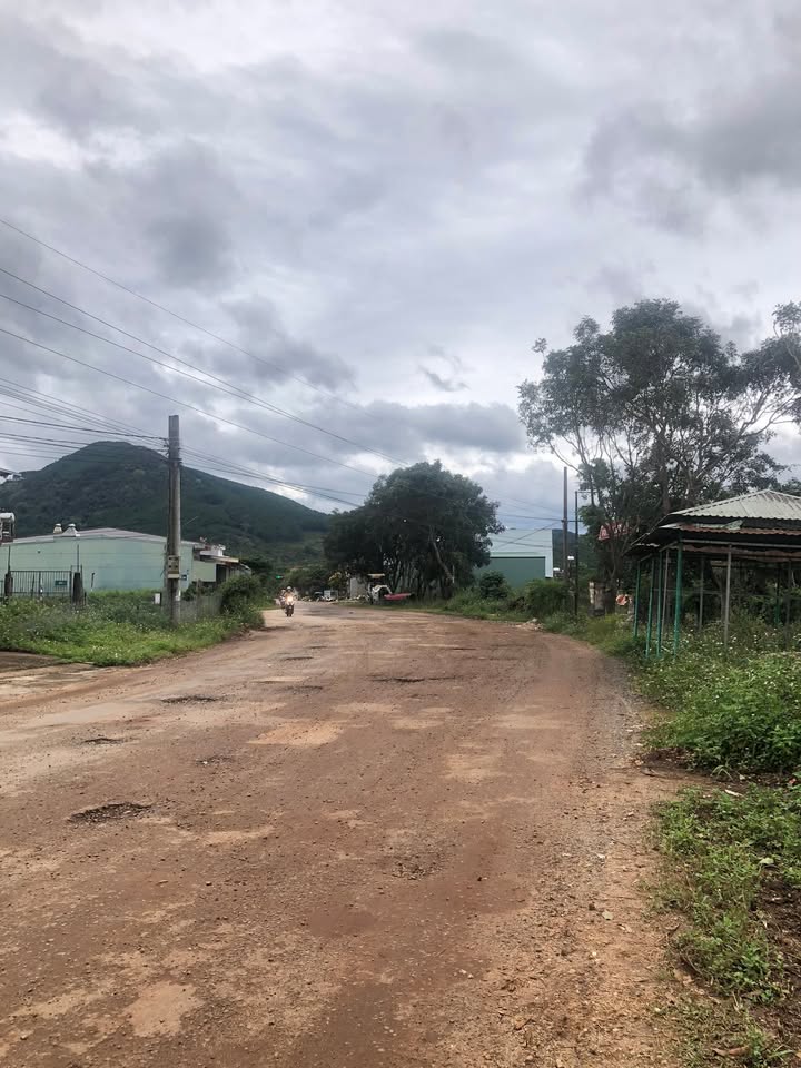 Đất mặt tiền Đinh Tiên Hoàng, Gia Lai 125m², giá 1.25 tỷ - Kinh doanh thuận lợi!