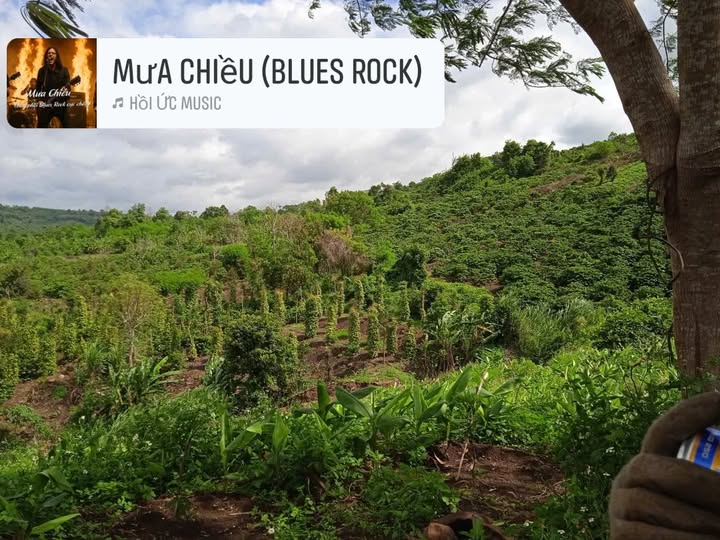 Đất nền 4 sào tại Tam Giang, Krông Năng chỉ 250 triệu - Cơ hội đầu tư hấp dẫn!