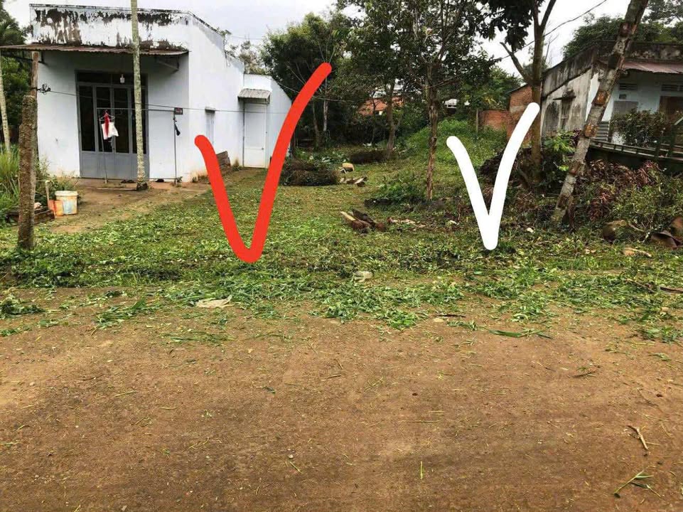 Đất thổ cư mặt tiền Nguyễn Huy Tưởng, Buôn Hồ 160m² giá chỉ 780 triệu - Đầu tư sinh lời!