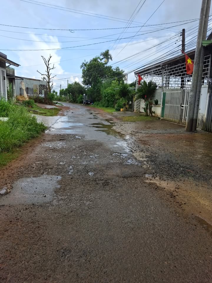 Đất thổ cư 1200m² mặt tiền đường Phó Đức Chính, phường 2 - Giá chỉ 400 triệu!