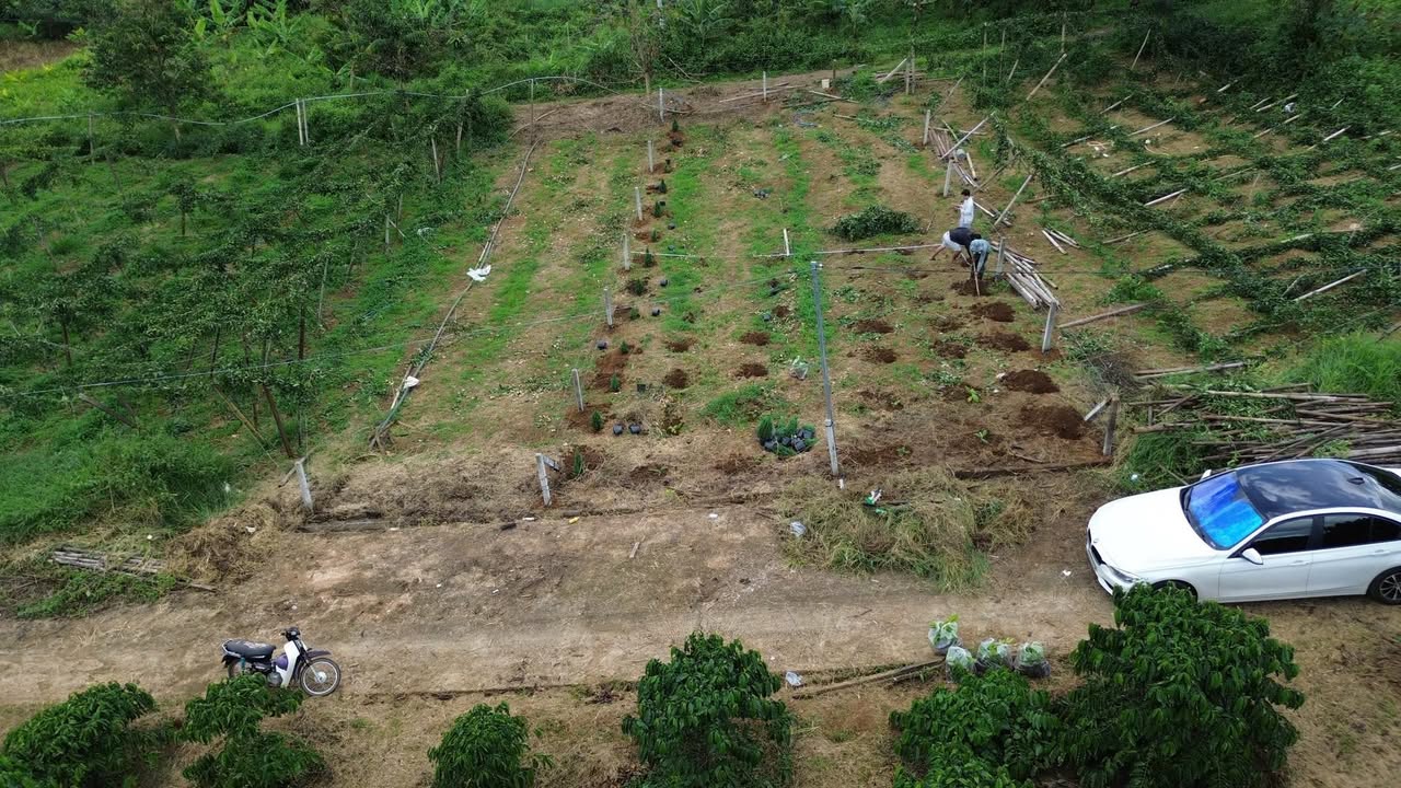 Đất nền Lộc An 320m² giá 1.2 tỷ - Đầu tư sinh lời ngay!