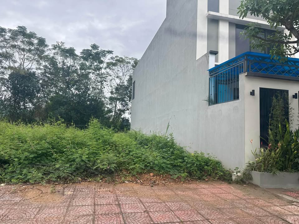 Đất thổ cư 100m² Nông Tiến Tuyên Quang chỉ 1 tỷ - Hạ tầng đầy đủ, dân cư yên tĩnh!