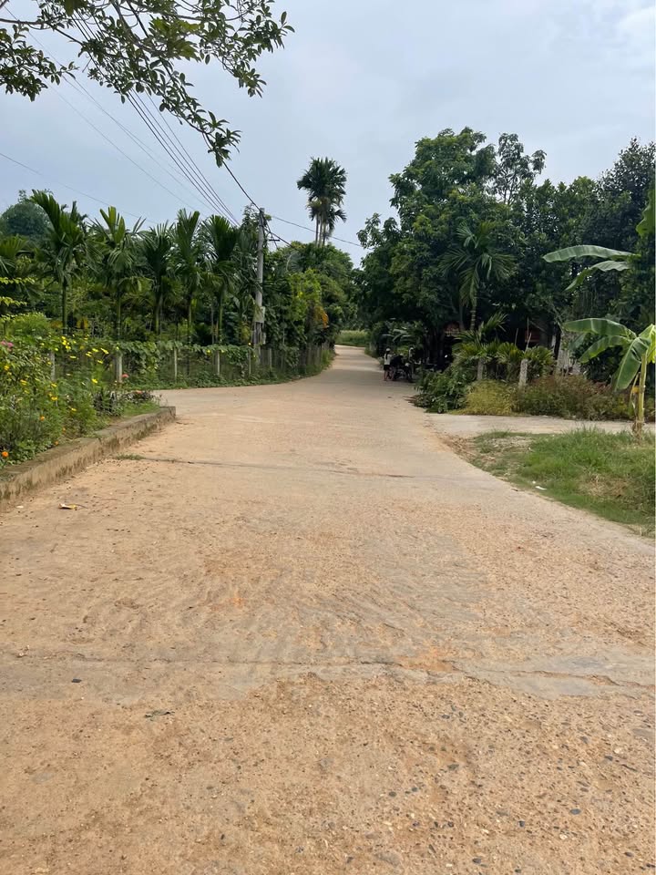 Đất chính chủ Tổ dân phố Trung Môn 14, Phường Minh Xuân 170m² - Tiềm năng xây dựng nhà vườn