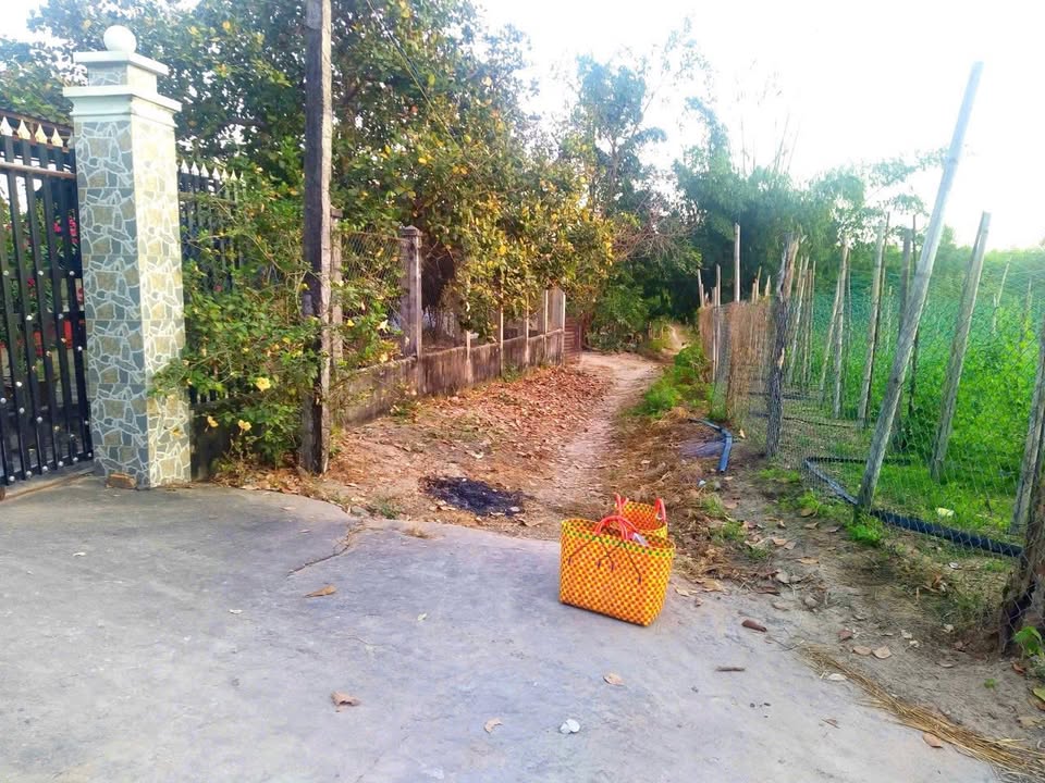 Đất Farm Tân Xuân Hàm Tân 4822m² giá 1.5 tỷ - Thiên nhiên yên bình chờ bạn!