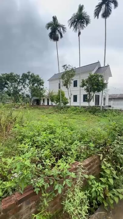 Đất nền Tiến Xuân 238,3m² giá 3 tỷ - Đầu tư sinh lời ngay!