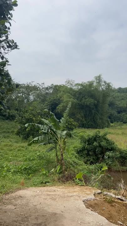 Đất nền Cao Dương Lương Sơn 900m² giá thỏa thuận - View cánh đồng và đồi núi thoáng mát!