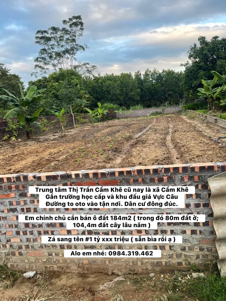 Đất nền xã Cẩm Khê 184m² giá 1 tỷ - Cơ hội đầu tư tốt!