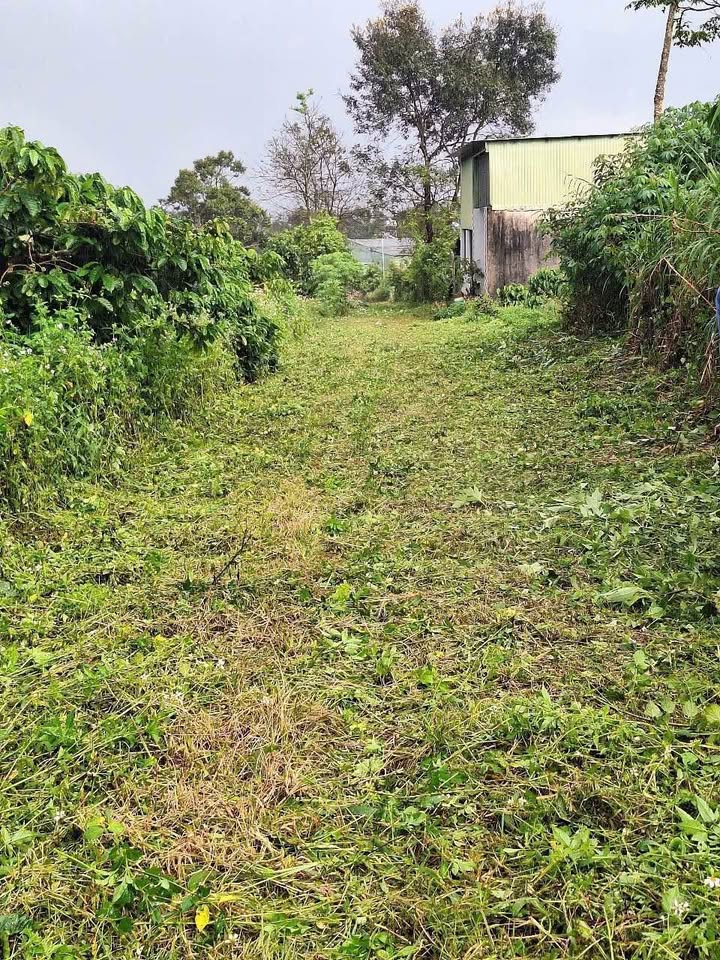 Đất nền liền kề Lý Chính Thắng, Hội Phú 165m² giá chỉ 400 triệu - Cơ hội đầu tư tuyệt vời!