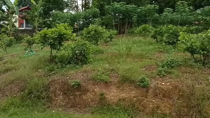 Đất thổ cư Bãi Đình An Dương 168m² giá chỉ 500 triệu - Sổ đỏ chính chủ!