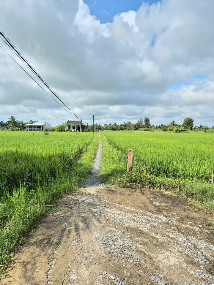 Đất nền 1000m² giá 750 triệu tại Ấp 1, Bình Xuân - Cơ hội đầu tư tuyệt vời!