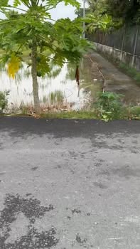 Nhà cấp 4 Gò Công 45m² giá 620 triệu - Hướng Đông, sổ đỏ chính chủ!