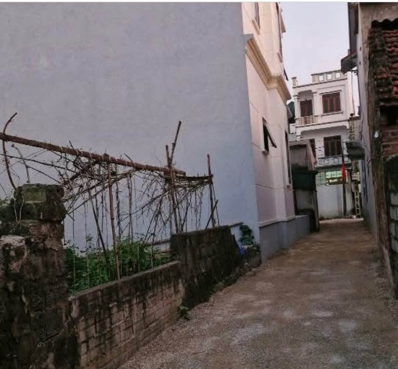 Đất nền Liêm Tiết, Phủ Lý 65m² giá 1.6 tỷ - Cơ hội đầu tư hấp dẫn!