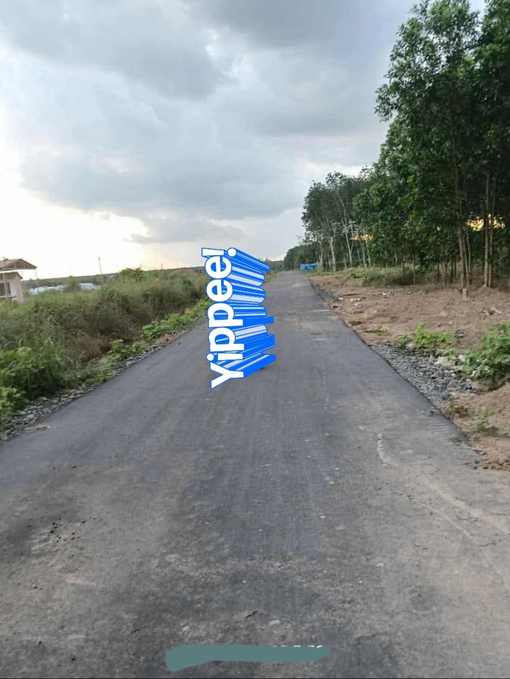 Đất nền Tân Lâm - Xuyên Mộc 33120m² giá 300 triệu/sào - Đầu tư lý tưởng!