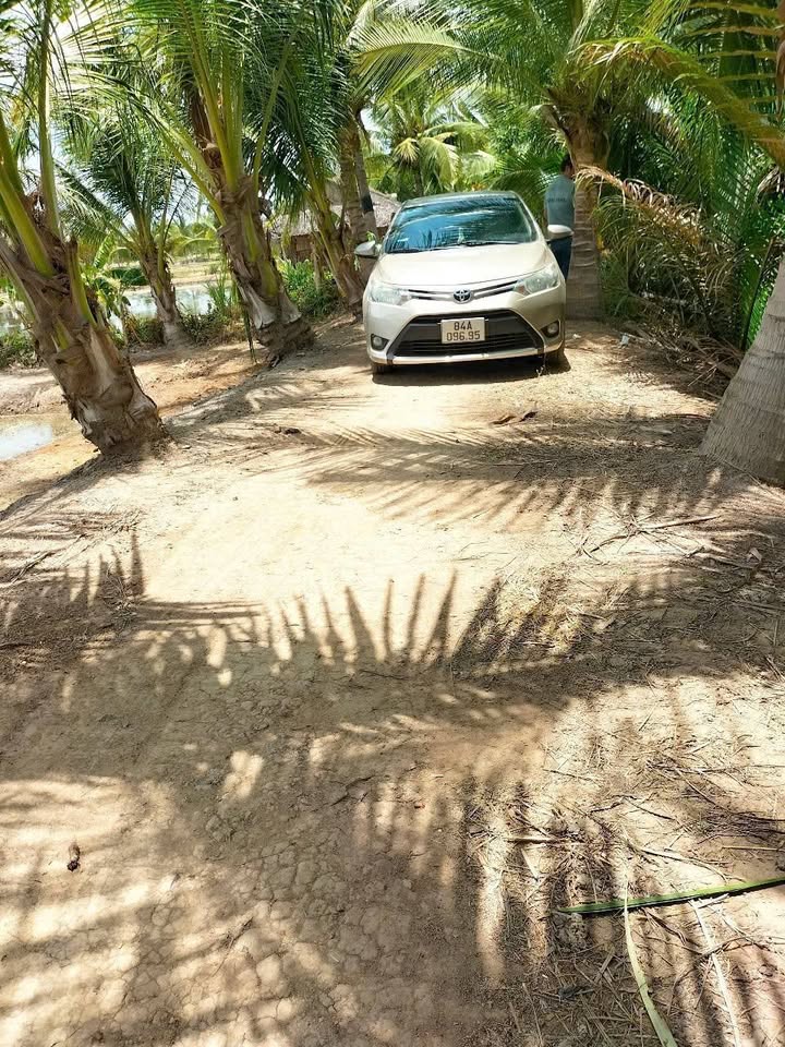 Đất nông nghiệp 20.000m² tại xã Hàm Giang, Trà Cú - Giá chỉ 2.3 tỷ VND!