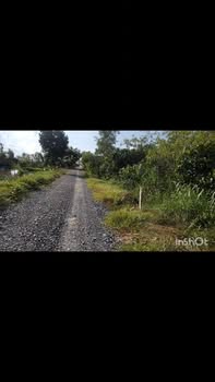 Đất nông nghiệp chuyển đổi thổ cư Tân Hiệp 4000m² giá 265 triệu - Cơ hội đầu tư hấp dẫn!