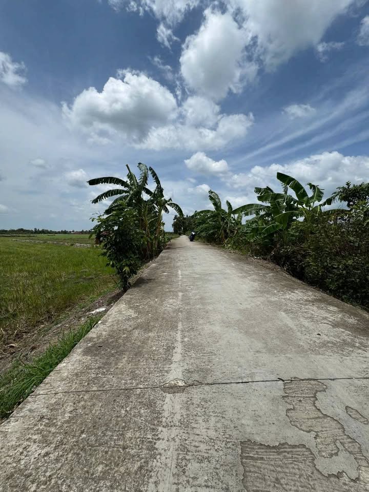 Đất nền ấp 5, xã Tân Bình, Cai Lậy 3500m² giá 1.26 tỷ - Đầu tư sinh lời ngay!