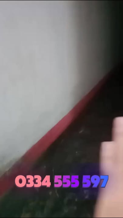 Nhà riêng phường Phù Đổng, Pleiku 300m² giá 4.6 tỷ - Sổ hồng đầy đủ, thương lượng ngay!