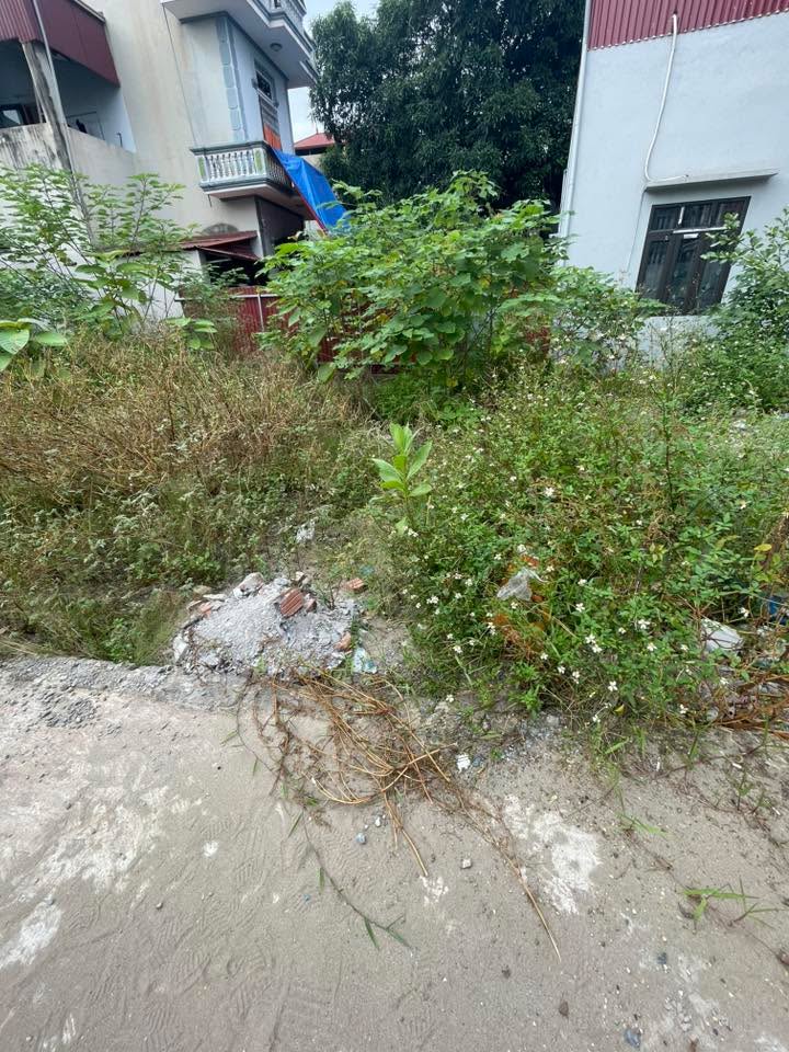 Đất nền Vĩnh Quỳnh Thanh Trì 46m² - Đầu tư sinh lời ngay gần Quốc lộ 1A!