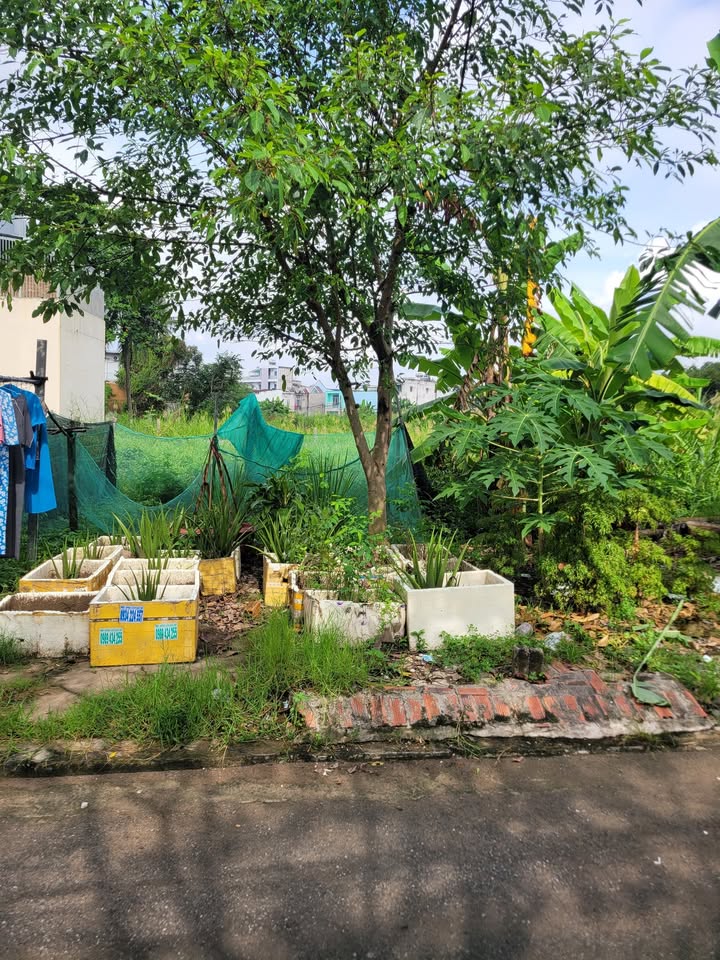 Đất nền đường Nguyễn Duy Trinh, phường Long Trường, 80m² - Giá 4.6 tỷ, xe hơi vào tận nơi!