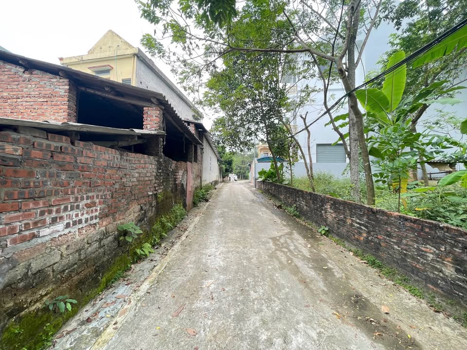 Đất nền chính chủ Minh Phương, Việt Trì 78m² - Giá chỉ 1 tỷ VND!