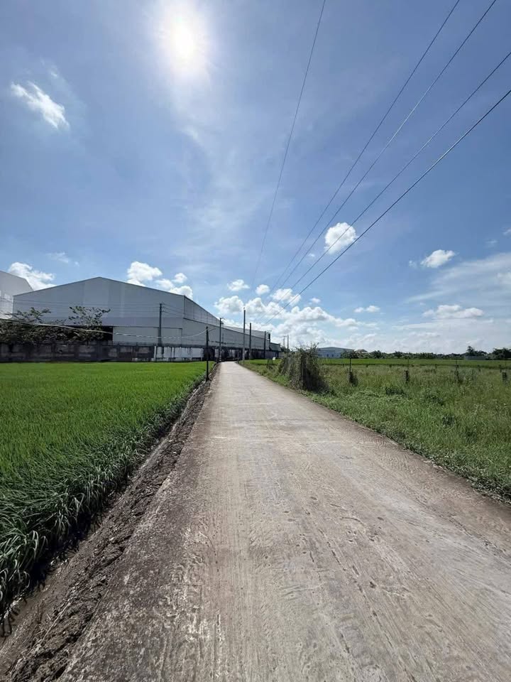 Đất nền KDC Hoàng Long Bến Lức 88m² giá 1.8 tỷ - Đầu tư sinh lời ngay!