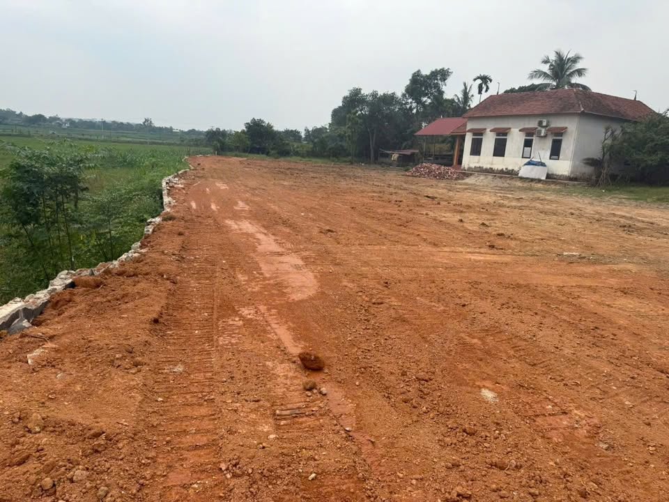 Đất thổ cư 100m² Thái Hòa, Lập Thạch chỉ từ 400 triệu - Đầu tư sinh lời ngay!