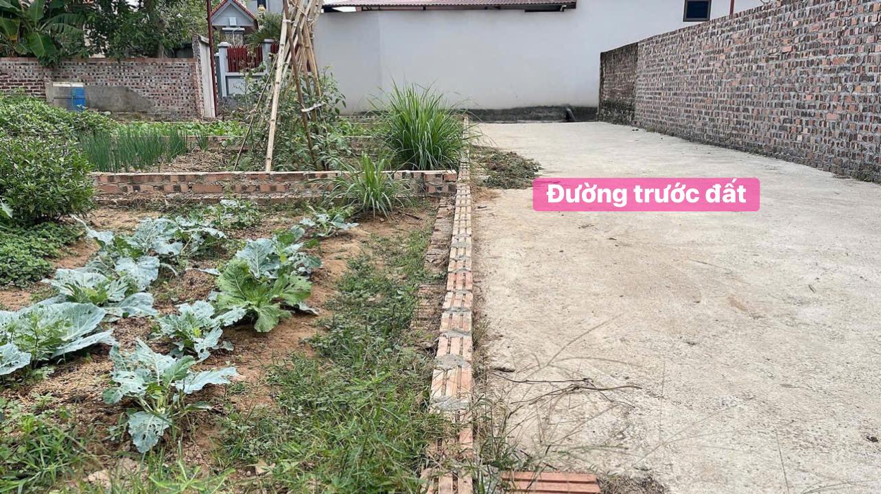 Đất nền Hiền Ninh, Sóc Sơn 54m² giá 1.2 tỷ - Cơ hội đầu tư hấp dẫn!