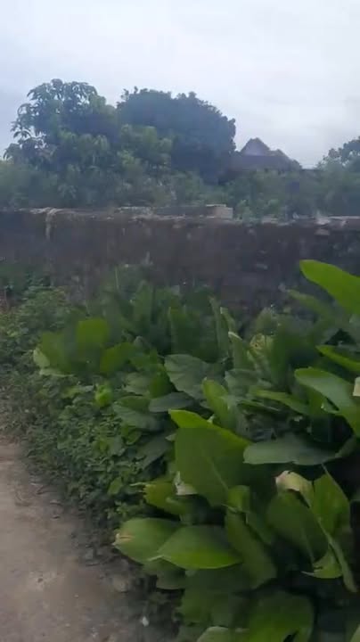 Đất nền khu vực Tây Hoa Lư, Ninh Bình 100m² giá 600 triệu - Cơ hội đầu tư hấp dẫn!