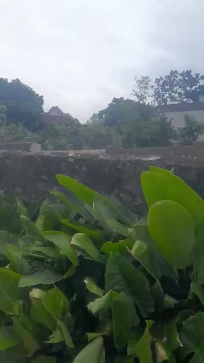 Đất nền Sơn Hà Nho Quan 100m² giá 500 triệu - Cơ hội đầu tư hấp dẫn!