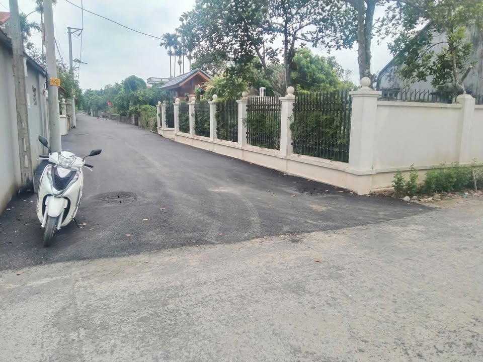 Đất trồng cây 1000m² tại TDP Tây Duyên Giang, giá chỉ 1 tỷ - Cơ hội đầu tư hấp dẫn!