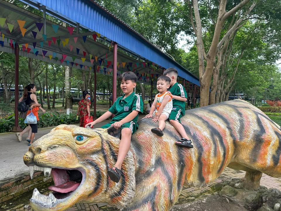 Nhà cấp 4 Tích Giang 84m² giá thỏa thuận - Khu dân cư đông đúc, phát triển!