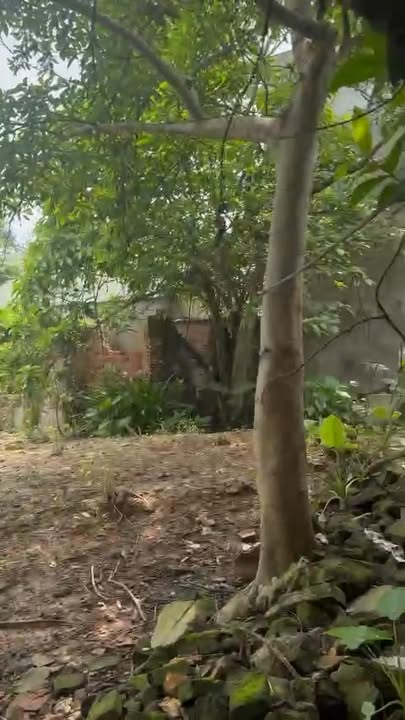 Đất nền Ngọc Thiện, Tân Yên, Bắc Giang 448m² giá chỉ 1 tỷ - Cơ hội đầu tư tuyệt vời!